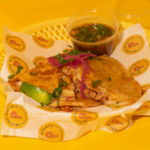 Birria Quesadilla